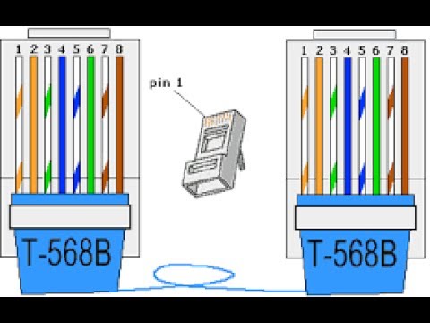 derrota Trampas Se asemeja Como colocar el conector RJ45 al cable UTP - YouTube