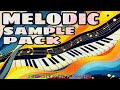 Melodic Sound Pack ( Melody One Shot Samples )