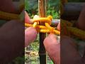 In my opinion, this knot is the most effective for tying two bamboos together tightly.!!
