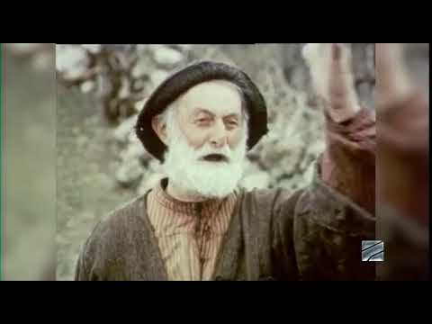 კ/ფ-დან #შერეკილები\" - ფაეტონს ერიდე, ფაეტონს!