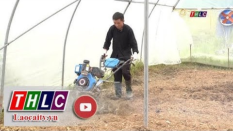 Đẩy mạnh đưa cơ giới hóa vào vùng sản xuất nông nghiệp | THLC