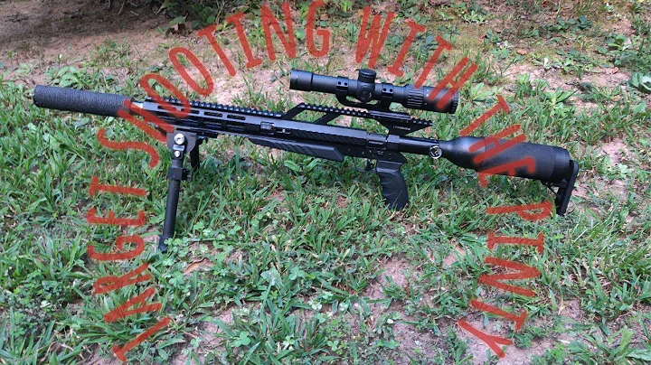 Pinty P-Force Target Shooting