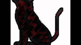 Some Animal Jam roleplay characters-wiki style