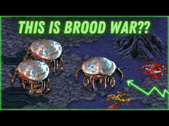 This Mod Completely Overhauls Brood War - Cosmonarchy PvZ Cast