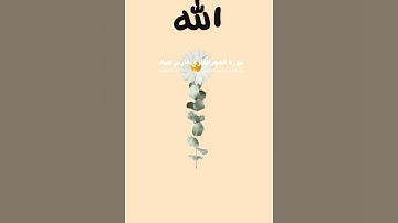 سوره الحجر #اكسبلور #المصحف