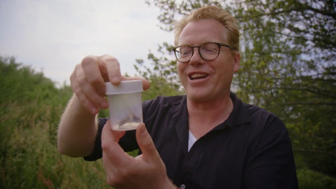 99 arter at se før du bliver voksen: STOR GEDEHAMS