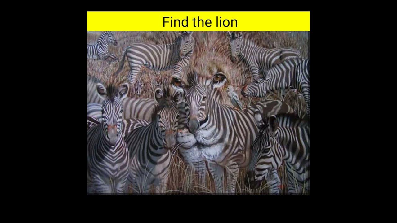 Ты видишь суслика. Сколько на картинке. Оптические иллюзии двойственные изображения. Дмб видишь суслика. Тест на зрение какую цифру видите.