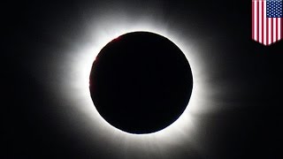 Total solar eclipse: Countdown begins to Great American Eclipse of 2017 - TomoNews Net Worth