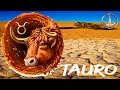 TAURO HOROSCOPO SEMANAL 9 AL 15