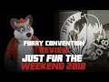 Furry Convention Review - My experience at Just Fur The Weekend 2018