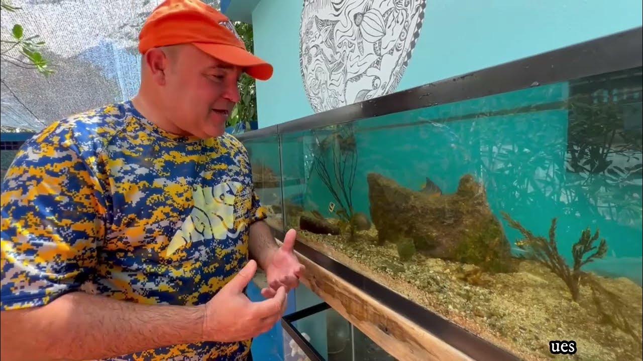 El Acuario Más Pequeño del Mundo (The Smallest Aquarium in the World