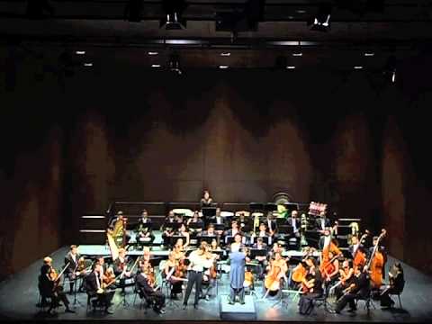 J. Sibelius Violin Concerto - Allegro Moderato