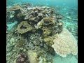 Great Barrier Reef - April 2026