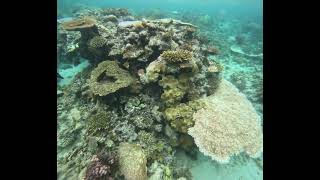 Great Barrier Reef - April 2026