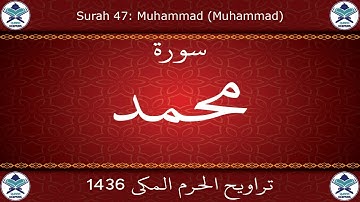 تراويح الحرم المكي 1436 - سورة محمد