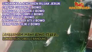 LANGGAM//BOWO//CAMPURSARI//JAWA//GENDING JAWA//SRAGENAN