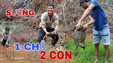 Tăm BABA Gặp Trúng Ngay Ổ Của Nó_1 Chỗ 2 Con//Nhip Song Cua Rung_Rhythm-Life-Of-Forest