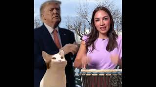Dancing Trump, singing cat & AOC @shesnailie