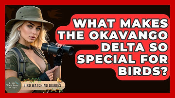 What Makes The Okavango Delta So Special For Birds? - Bird Watching Diaries