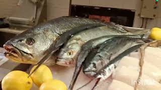 видео: Отель Лара Барут коллекшен. Ужин  seafood 😍, октябрь 24г картинка: Отель Лара Барут коллекшен. Ужин  seafood 😍, октябрь 24г