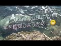 元旦に釣りに行く。【穴釣りアラカブ】