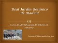 Formacion. Curso de Identificacion de arboles en invierno. Real Jardín Botánico de Madrid