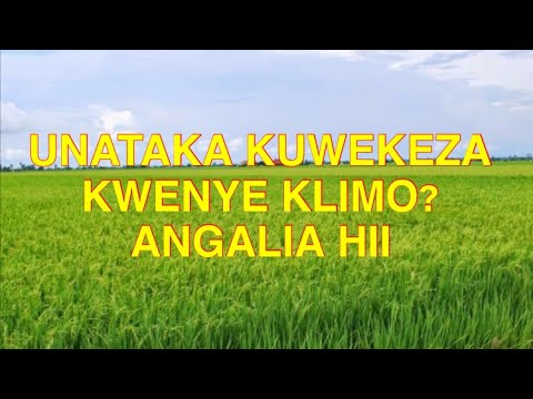 Video: Mbinu ya utafiti wa soko ni nini?