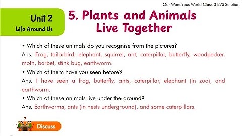 Plants and Animals Live Together | Class 3 EVS | Question Answer | Our Wondrous World | Chapter 5