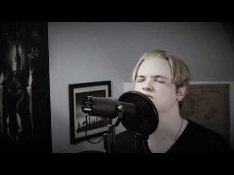 The Heretic Anthem - Slipknot Live Vocal Cover (One Take)
