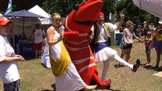 Ballina Prawn Festival 2014