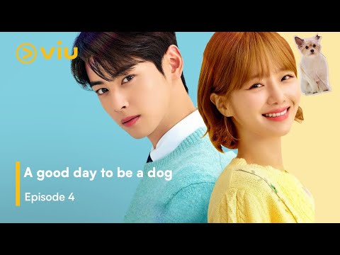         4  يوم جيد لتصبح كلبا