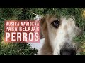 🎼🌲 Música para relajar perros por pirotecnia en Navidad 🐶  musicoterapia para animales 🐕 🐱 PERRHIJOS