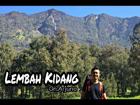 Video: Lembah Kematian. Kamchatka - Pandangan Alternatif