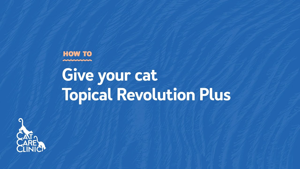 How to Apply Topical Revolution Plus to your Cat (Cat Care Clinic