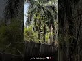music lover part-5 💞 #lofi #music #shortsfeed #trendingshorts #trendingsong