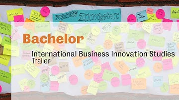 International Business Innovation Studies
