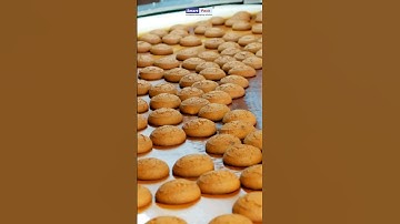 INKJET PRINTER WITH CONVEYOR | Contact- 9109108483