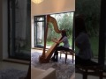 Ref:gGUpStWdQH8 Aefe harp 2016