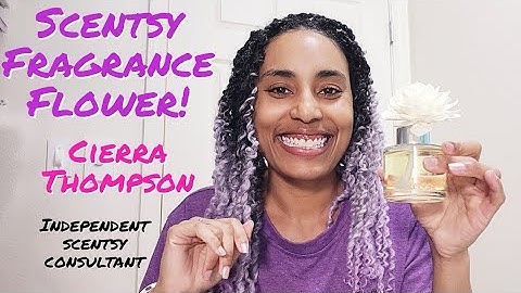 HOW TO setup your Scentsy Fragrance Flower and why you NEED try it!