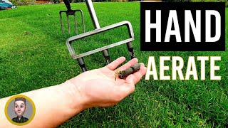 3 Lawn Aeration Tools and When to Use (Solid and Hollow Tine)