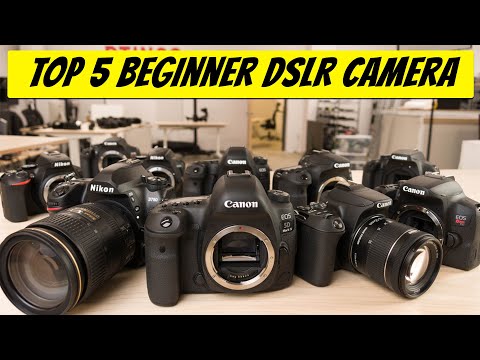 Video: Баштоочулар үчүн DSLRлер (31 сүрөт): башталгыч фотограф үчүн эң мыкты DSLR. Арзан камераны кантип тандоо керек?