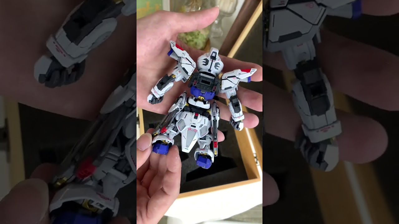 Keeping MGSD Freedom & HG Meteor Unit in Box