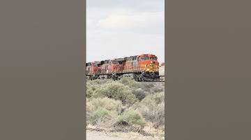 TRAIN SHORTS #00148 / BNSF 7724 WB MANIFEST 4-18-2025 #train #canadiancompany #railfan