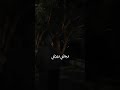 احمد سعد وحشني نفسي زمان أوي