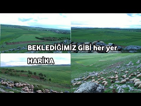 YENİ KÖY YENİ