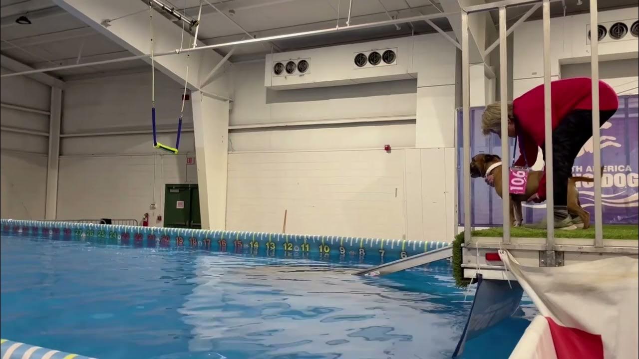 Fig NADD Nationals 2022 YouTube