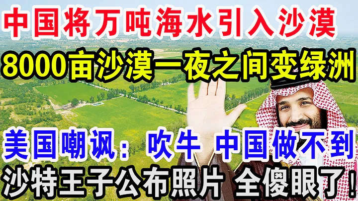 中国将万吨海水引入沙漠，8000亩沙漠一夜之间变绿洲，美国嘲讽：吹牛，中国根本做不到！沙特王子公布照片全傻眼了！ - 天天要闻