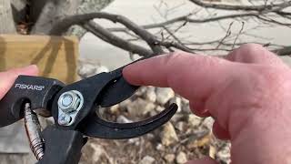 Fiskars Professional Bypass Pruning Shears Review, Some of the best spring loaded bypass pruners I'v