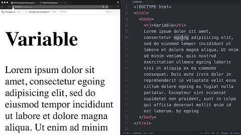 WEB2 PHP 6 PHP의 변수