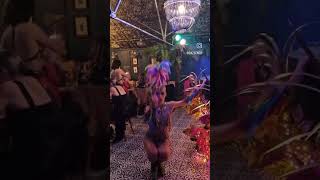 Macaw costumed dancers at Jungle Fever themed event